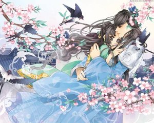 深入了解 动漫人物互相差差差软件